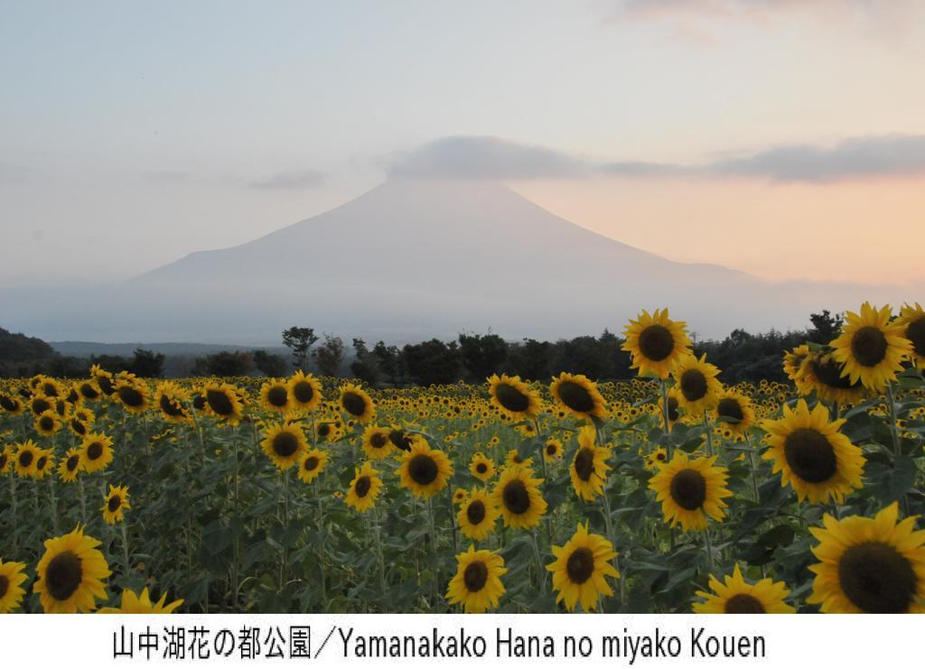 Pension Country Diary Yamanakako Exterior photo